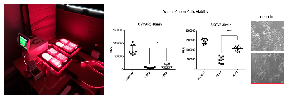 Immunothérapie des cancers